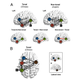 Image for article titled Chinese speakers use more of their brain than English speakers